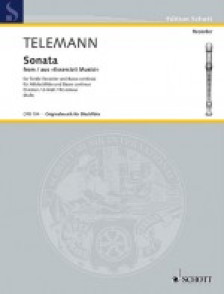 Telemann G.p. Sonate RE Mineur Flute A Bec Alto