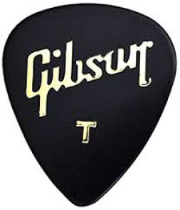 Mediator Gibson APRGG-74T Thin