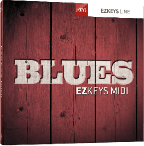 Toontrack TT224 Blues Midi