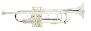 Bach S180L Stradivarius Gold Argentee