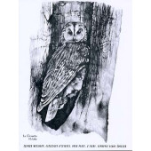 Messiaen O. Catalogue D'oiseaux 3ME Livre Piano