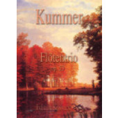 Kummer C. Flotentrio OP 53 3 Flutes
