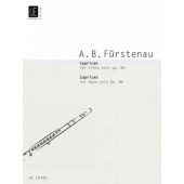 Furstenau A.b. Caprices Flute