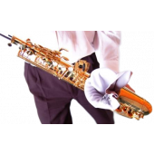 Ecouvillon Saxophone BG A30L Tenor Microfibre