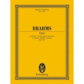 Brahms J. Trio OP 101 Conducteur