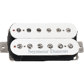 Micro Guitare Seymour Duncan TB-16-W