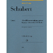 Schubert, AT The Piano