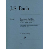 Bach J.s. Triosonate G Dur Bwv 1038  Flute, Violon, Continuo