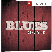 Toontrack TT224 Blues Midi
