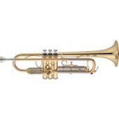 Eastman Trompette ETR224G Sib Verni