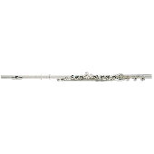 Flute Altus AS1007RBI Argent