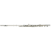 Flute Altus  AS1107RBI Argent