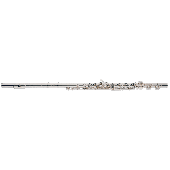 Flute Altus AS1107RI Argent