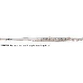 Flute Altus AS1807RI1 Argent