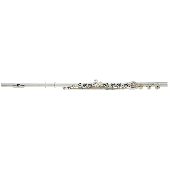 Flute Altus ASPSDRBI1 Argent