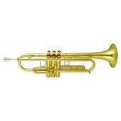 Trompette Sib Wiseman DTR780