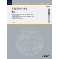 Telemann G.p. Trio  D Minor Flute A Bec Alto, Violon et B.c.