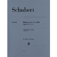 Schubert F. Impromptu OP 90 N°3 Piano