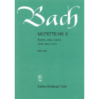 Bach J.s. Motette NR.5  Bwv 229 Chant Piano