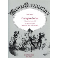 Strauss J. Gapolin Polka OP 237 Ensemble Cordes