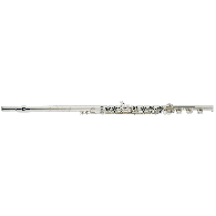 Flute Altus AS1007RBI Argent