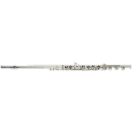 Flute Altus AS1307RBI1 Argent