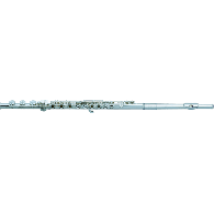 Flute Pearl 795RB Serie Elegente Tête et Tube Argent Avec Patte de SI