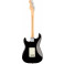 Fender American Professional Stratocaster Black Maple