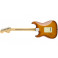 Fender American Performer Stratocaster Honey Burst Rosewood